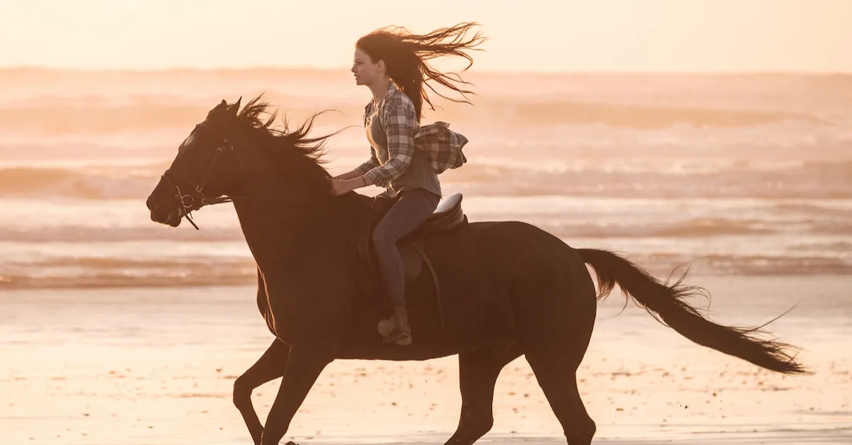 Mackenzie Foy ขี่ม้าสีนิลในตัวอย่างของ Black Beauty ฉบับสร้างใหม่