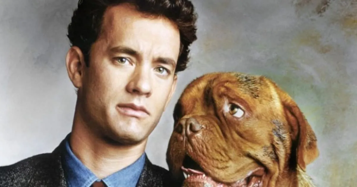 Turner and Hooch อดีตหนังตลกของ Tom Hanks เตรียมถูกสร้างใหม่ Disney+