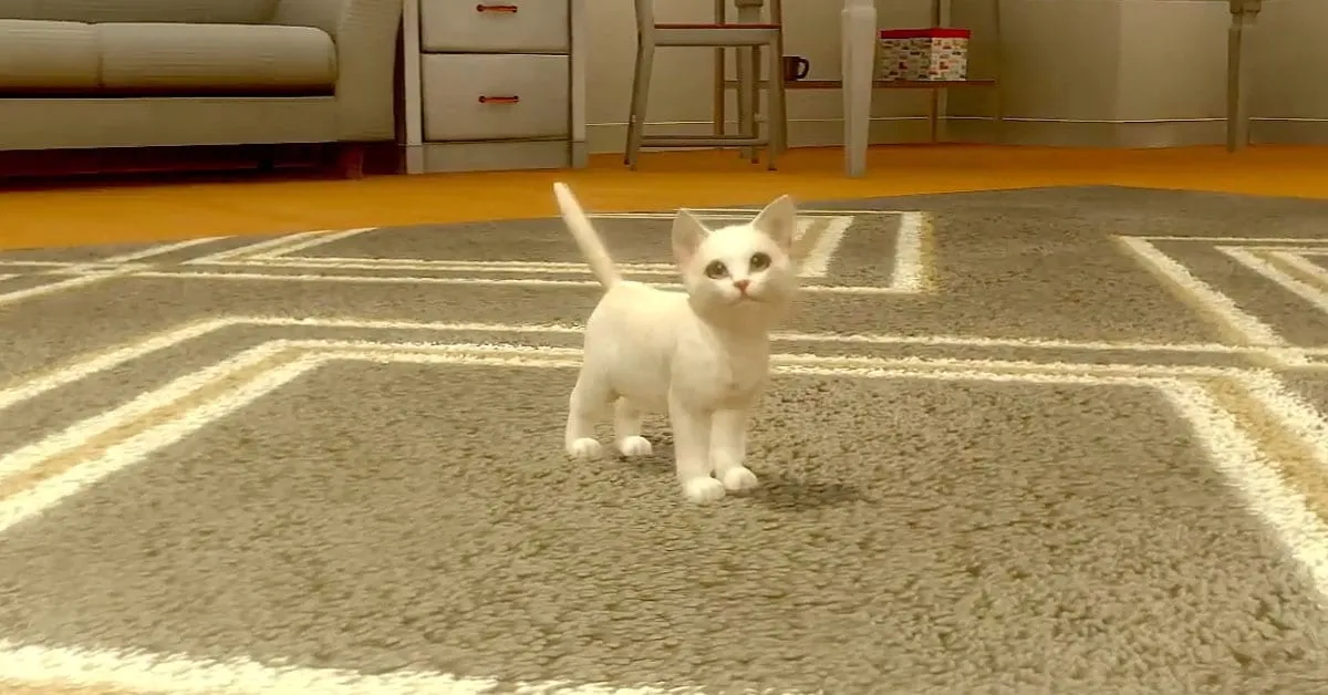 รีวิว with My CAT เกมมือถือน่ารักฮีลใจสำหรับเหล่าทาสแมว!