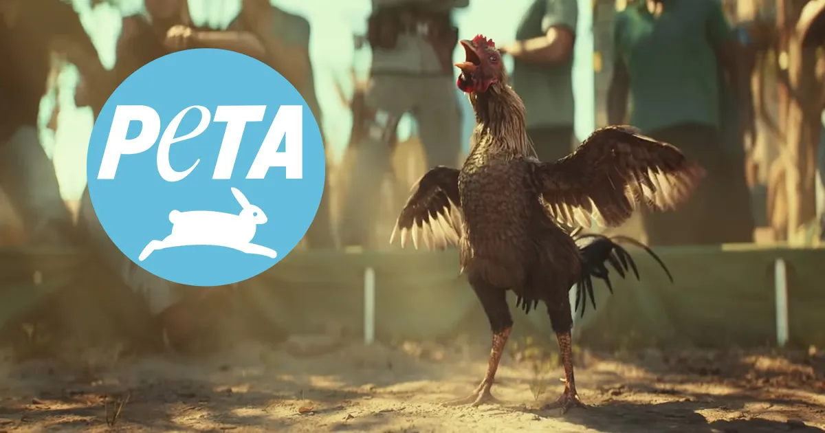 PETA ไม่ปลื้ม! เรียกร้องให้ถอดมินิเกมไก่ชน Far Cry 6 ออกจากเกม