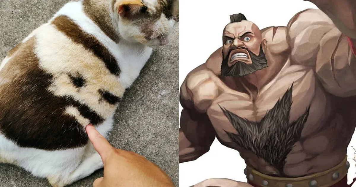 ชาวเน็ตค้นพบแมวที่มีลายบนตัวเหมือนหน้า Zangief ในเกม Street Fighter!