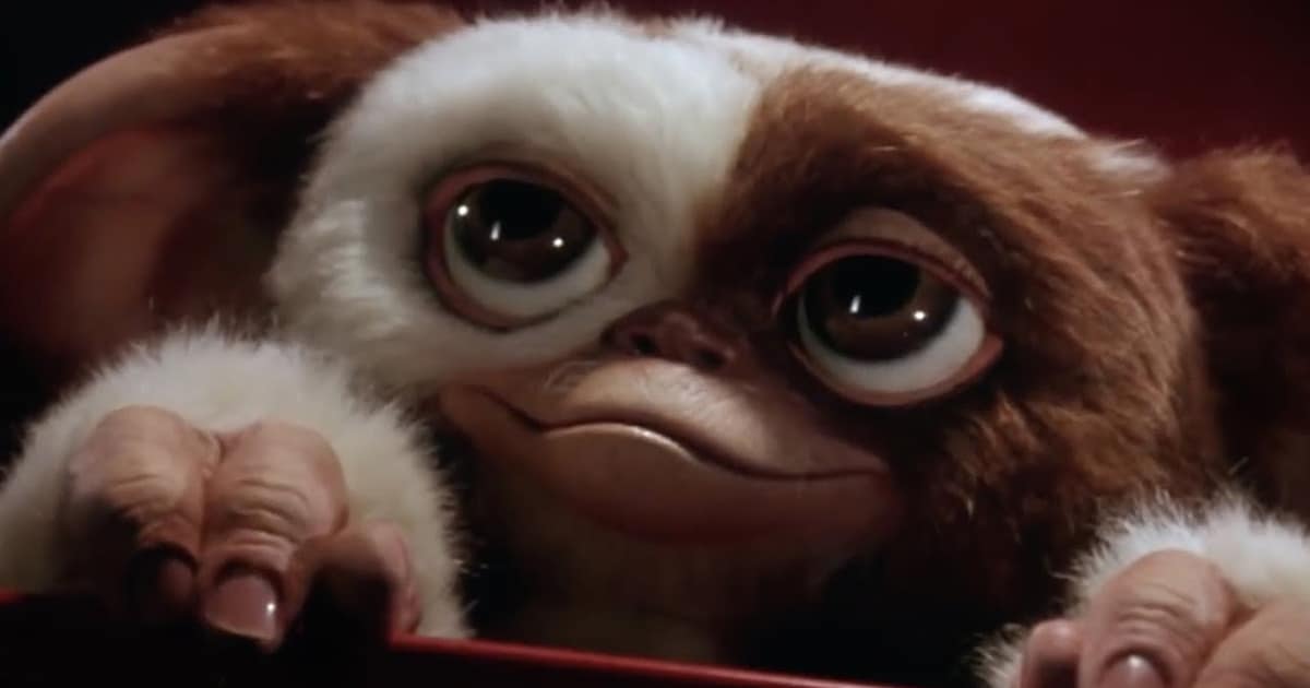 MultiVersus ยืนยัน Gizmo จากหนัง Gremlins จะมาแจมในเกมช่วงสัปดาห์หน้า