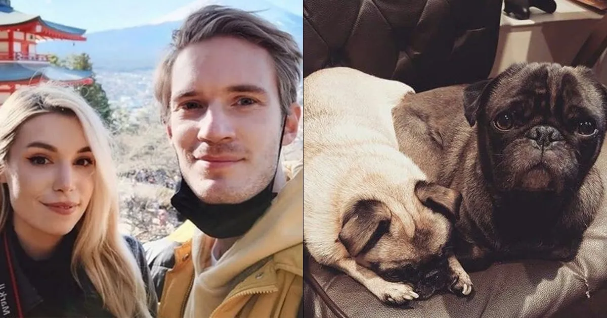 ผู้ว่าฯ แห่งกุนมะอยากให้ PewDiePie นำน้องหมามาช่วยโปรโมตการท่องเที่ยวญี่ปุ่น