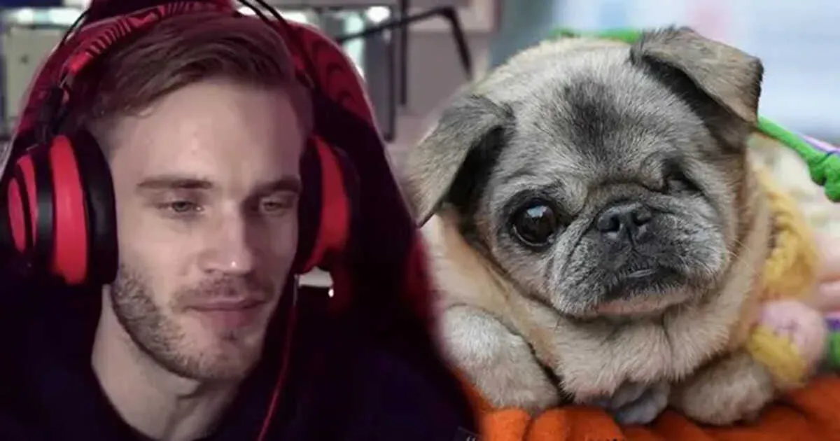 PewDiePie สุดเศร้า หลังน้องหมาสุดที่รักจากโลกนี้ไปด้วยวัย 17 ปี