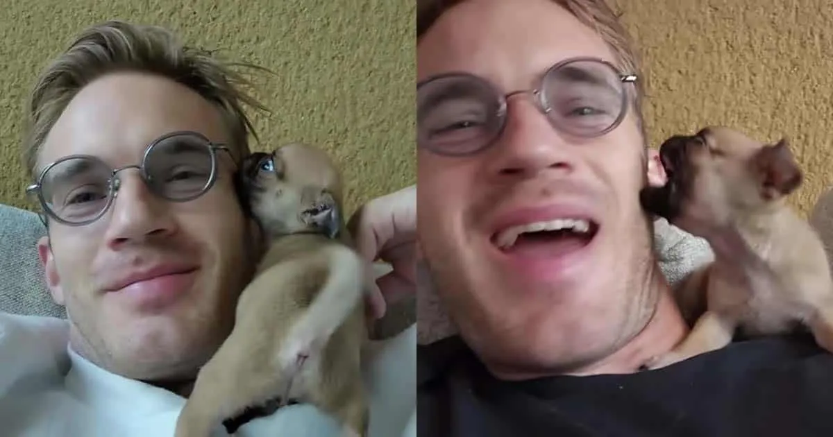 PewDiePie เปิดตัวน้องหมา "Momo" สมาชิกหน้าใหม่ของช่อง