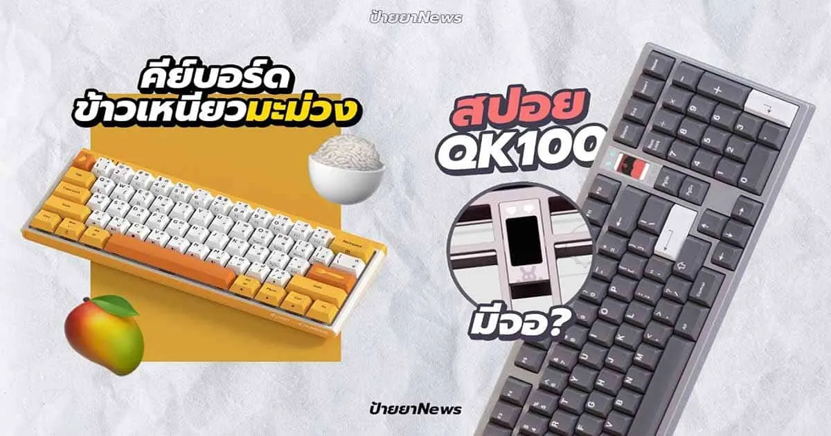 ป้ายยาคีย์บอร์ดข้าวเหนียวมะม่วง LOGA X DURGOD + ข่าว Qwertykeys QK100 จาก FreshZ 