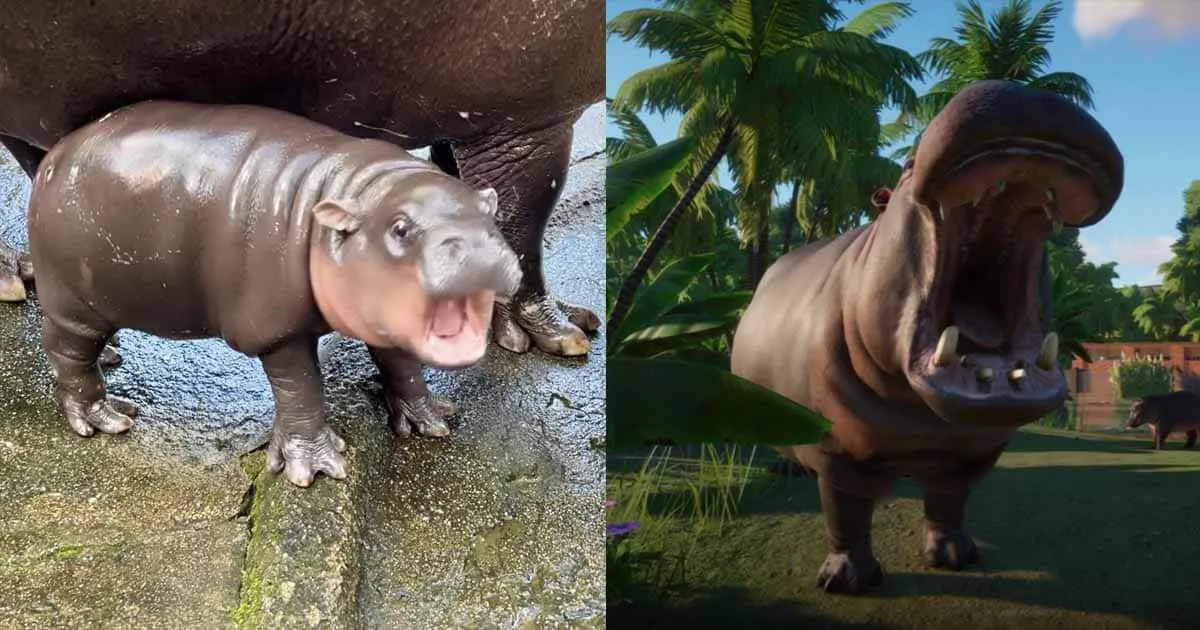 Planet Zoo เกมสร้างสวนสัตว์ ที่คุณสามารถเอ็นดูหมูเด้งได้ตามใจนึก ลด 65% บน Steam