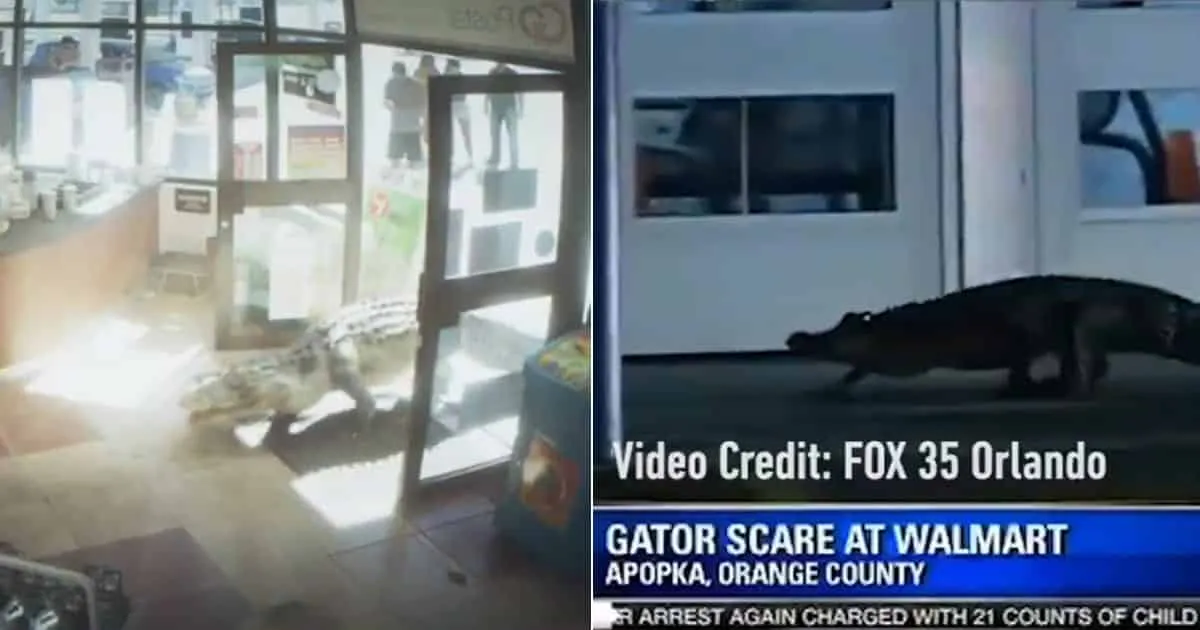 IGN จัดทำคลิปเทียบ GTA VI และวีรกรรมหลุดโลกของผู้คนชาว Florida