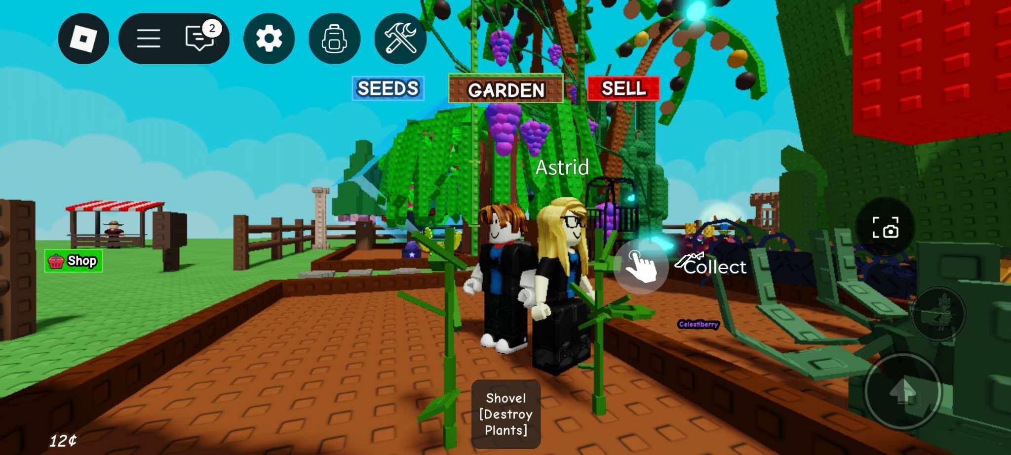 Grow a Garden
