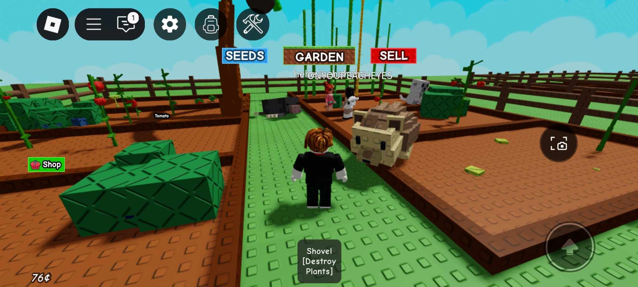 Grow a Garden pet