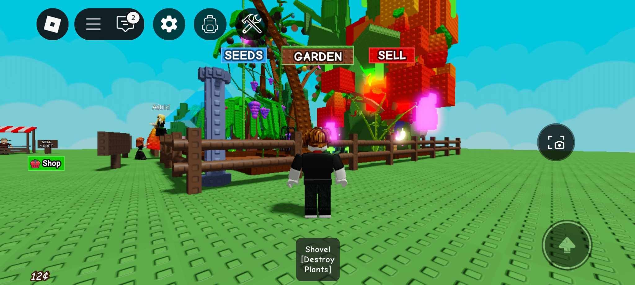 Grow a Garden