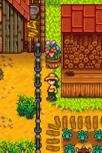 Stardew Valley