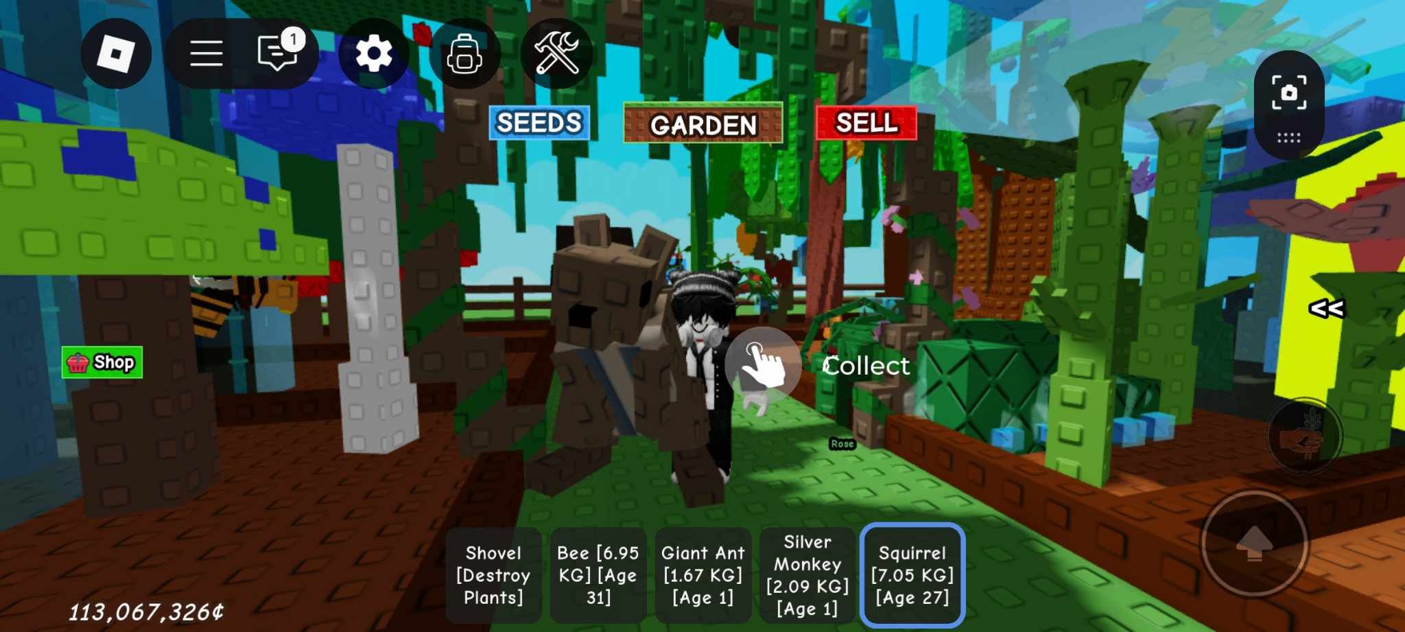 Grow a Garden กระรอก