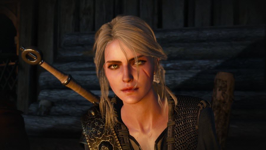 The Witcher 4
