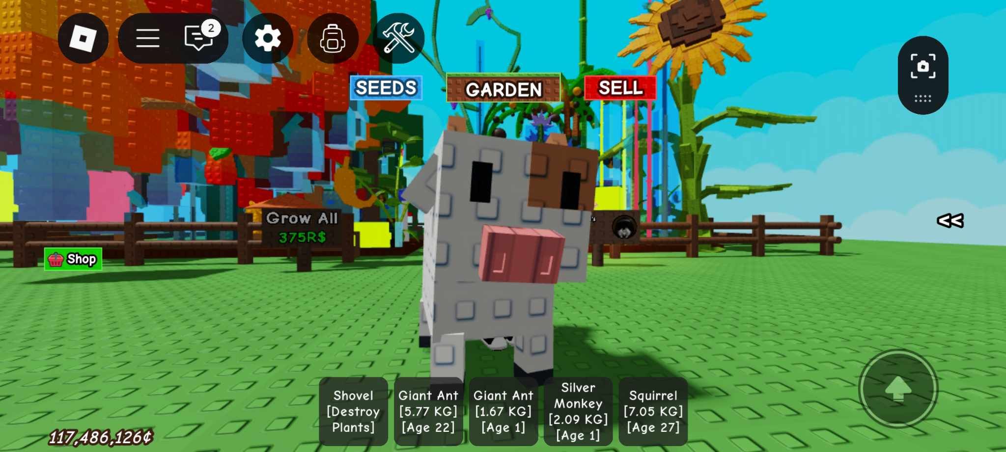 Grow a Garden วัว