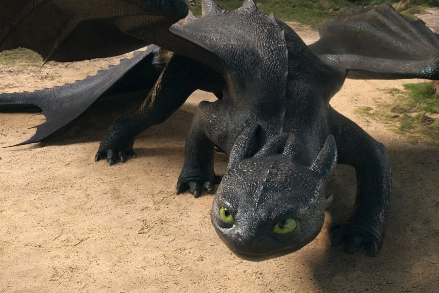 How to Train Your Dragon