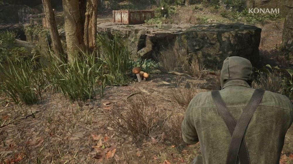 Metal Gear