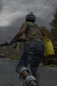 DayZ
