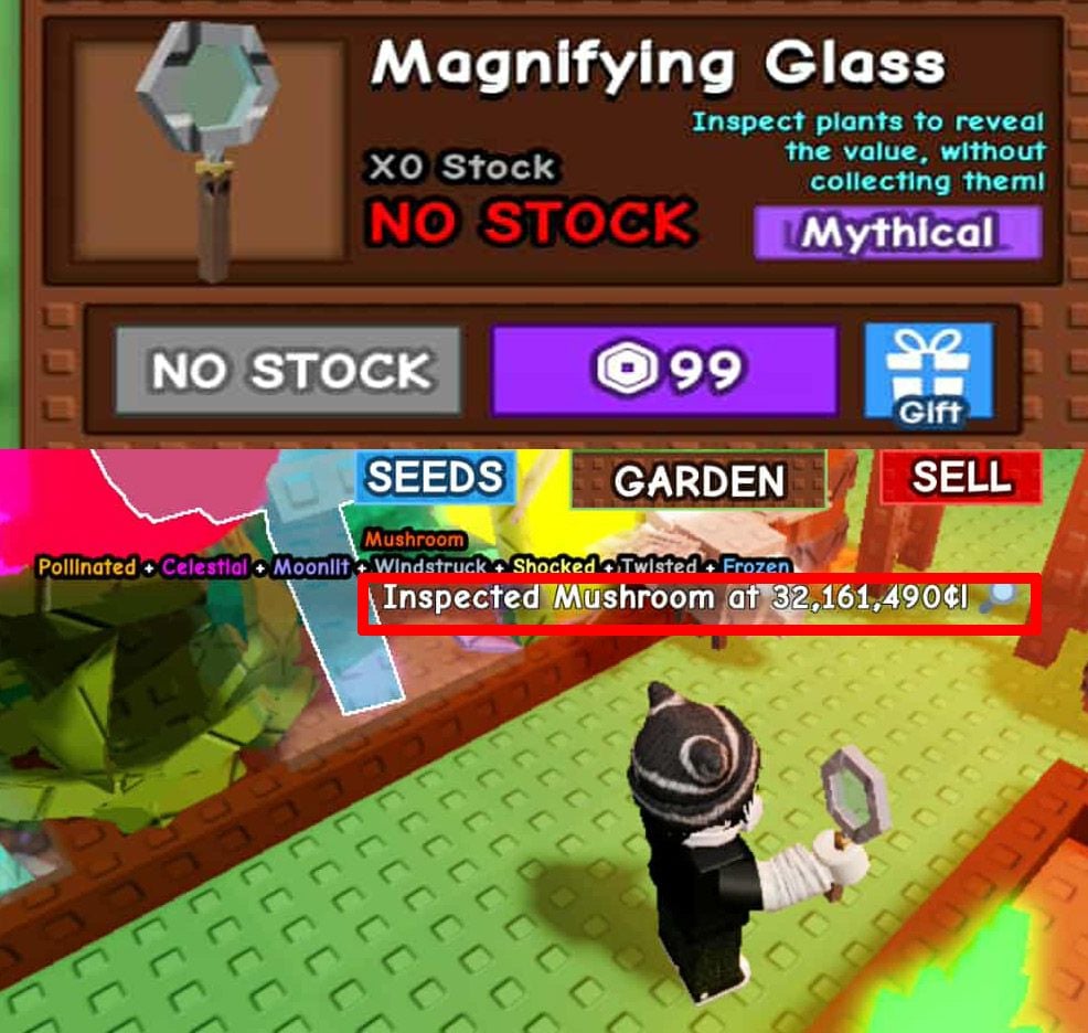 Magnifying Glass