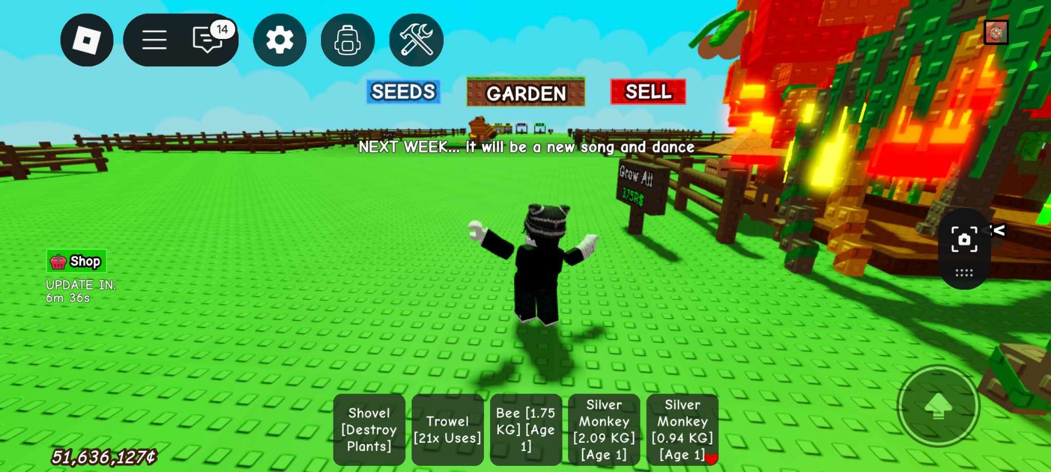 Grow a Garden Disco