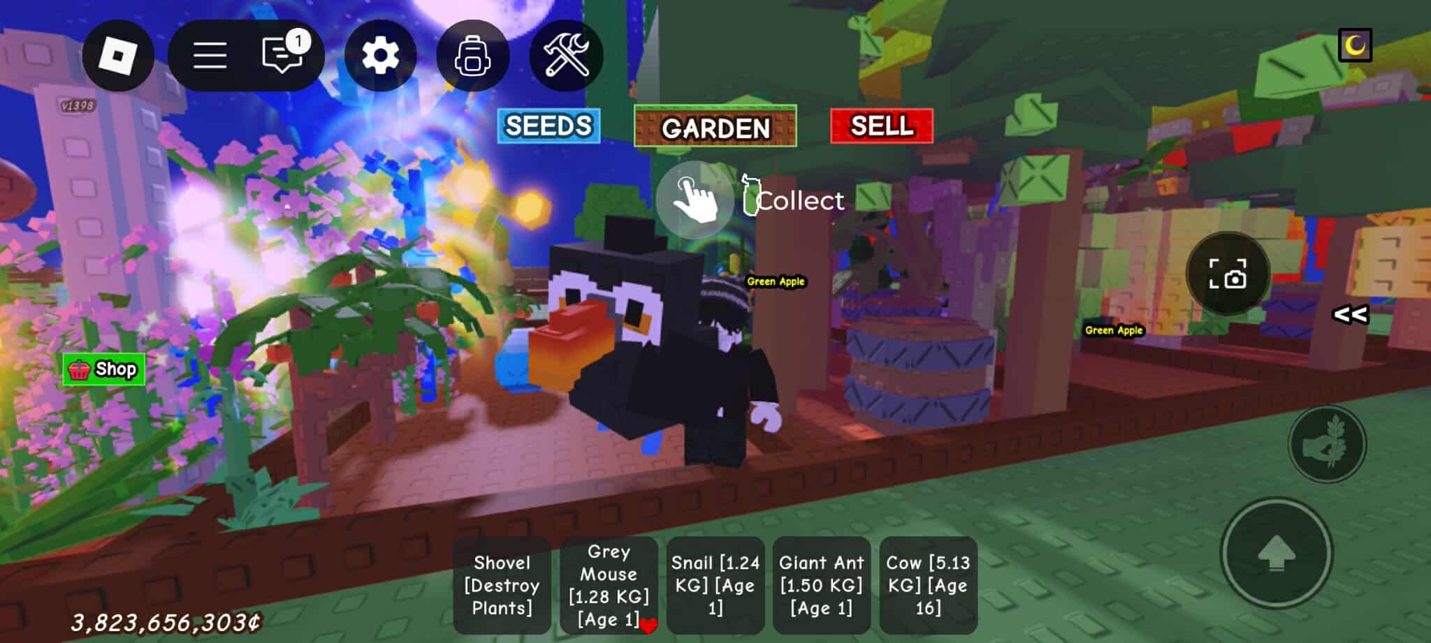 Pet