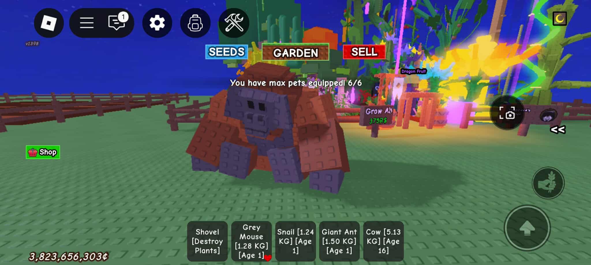 Pet
