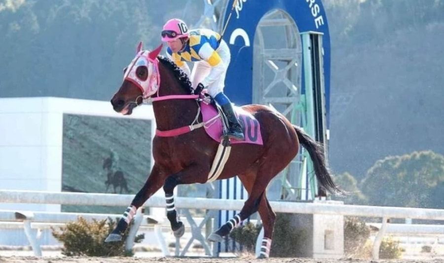 Uma Musume: Pretty Derby