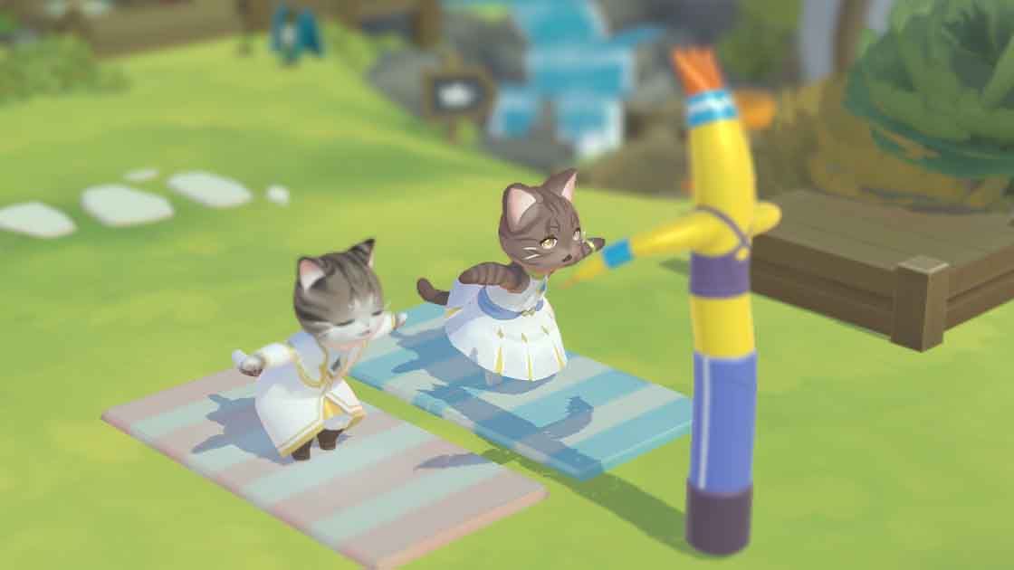 Meow Kingdom