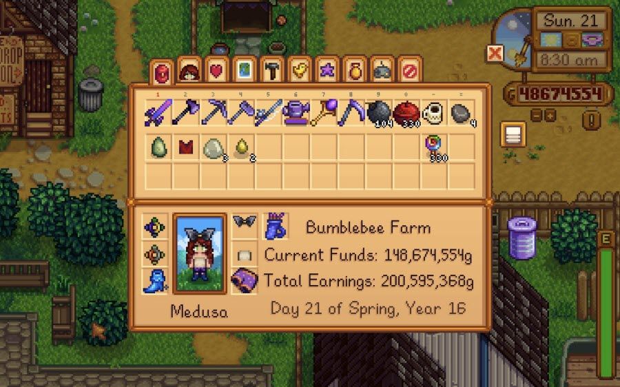Stardew Valley