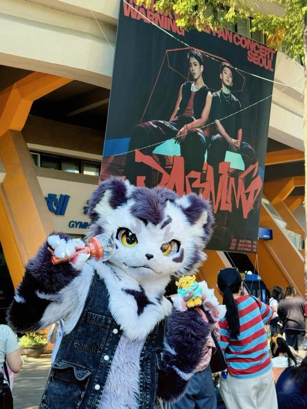 Cosplay
