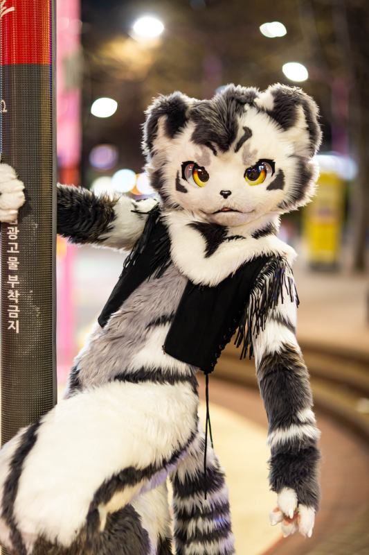 Cosplay