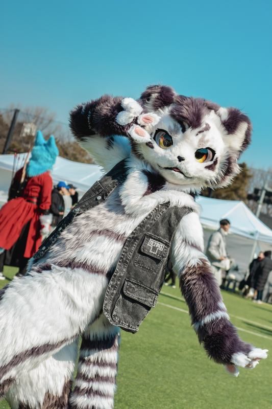 Cosplay