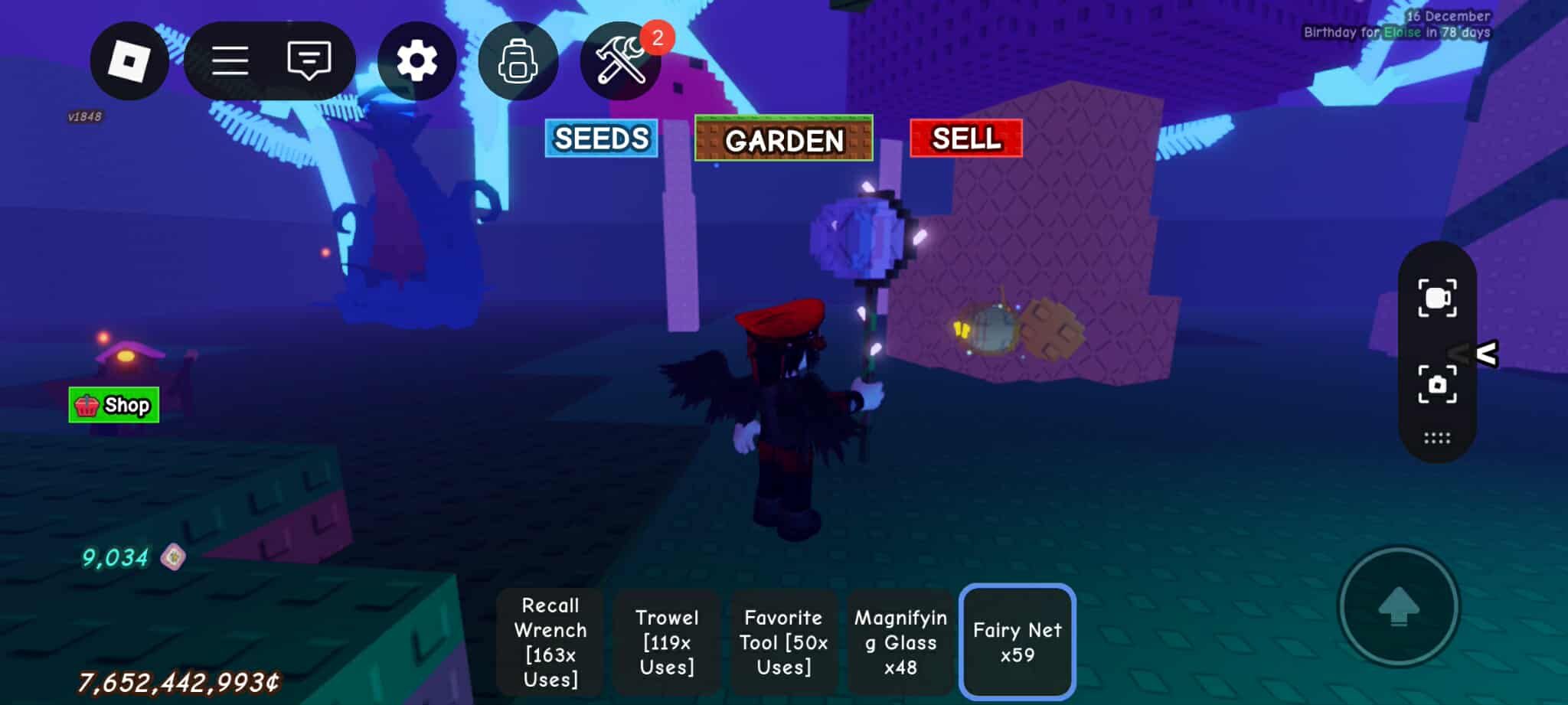 Catch Fairy