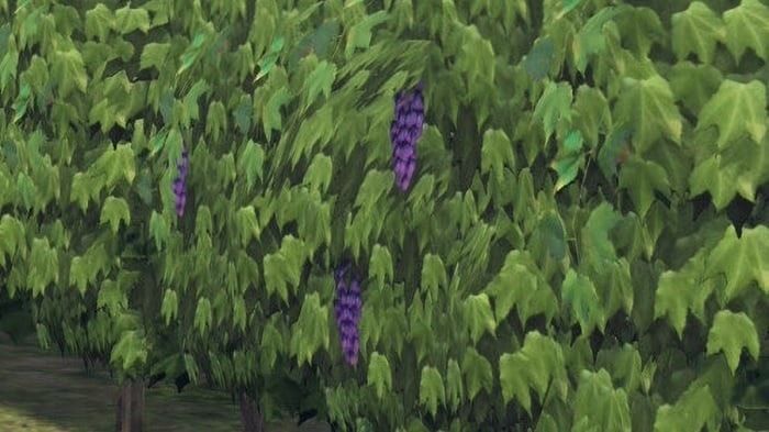 Pokemon Legends: Z-A