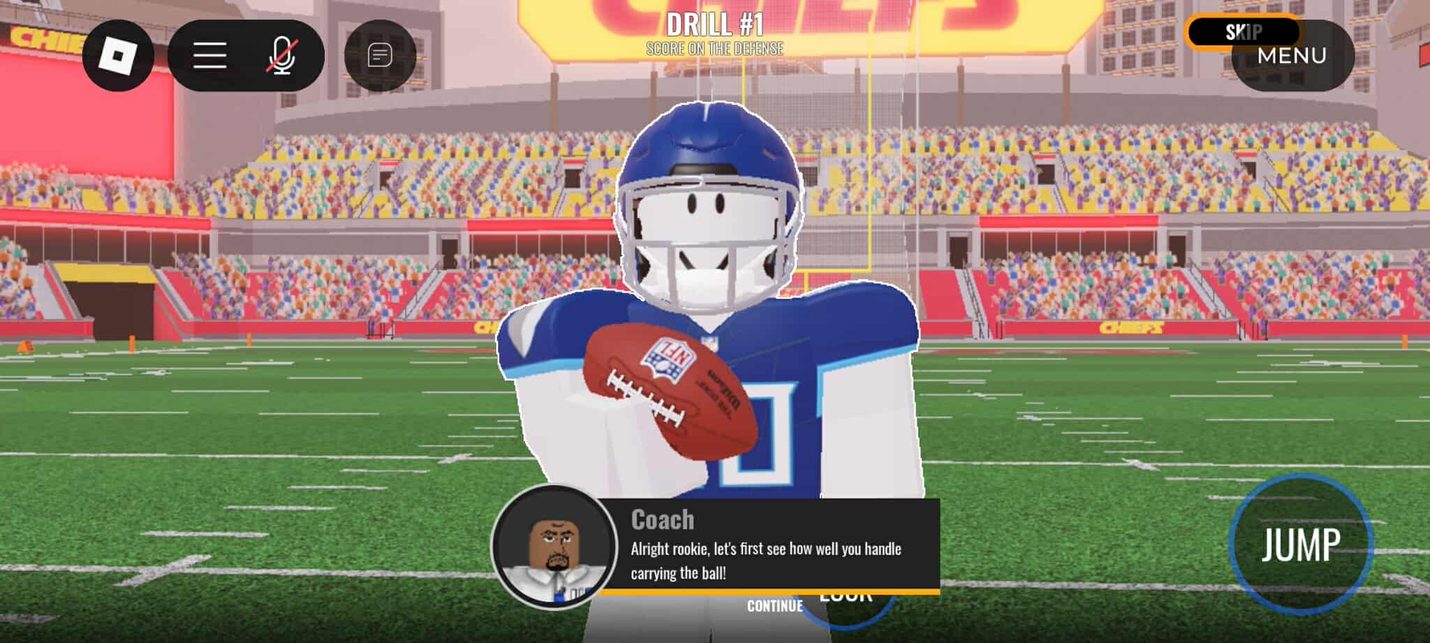 NFL Universe Football