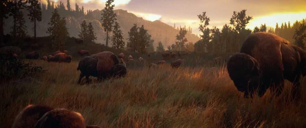Hunting Simulator 3