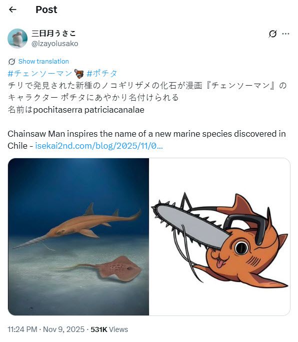 Chainsaw Man