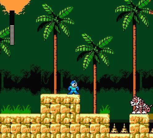 Rockman 5