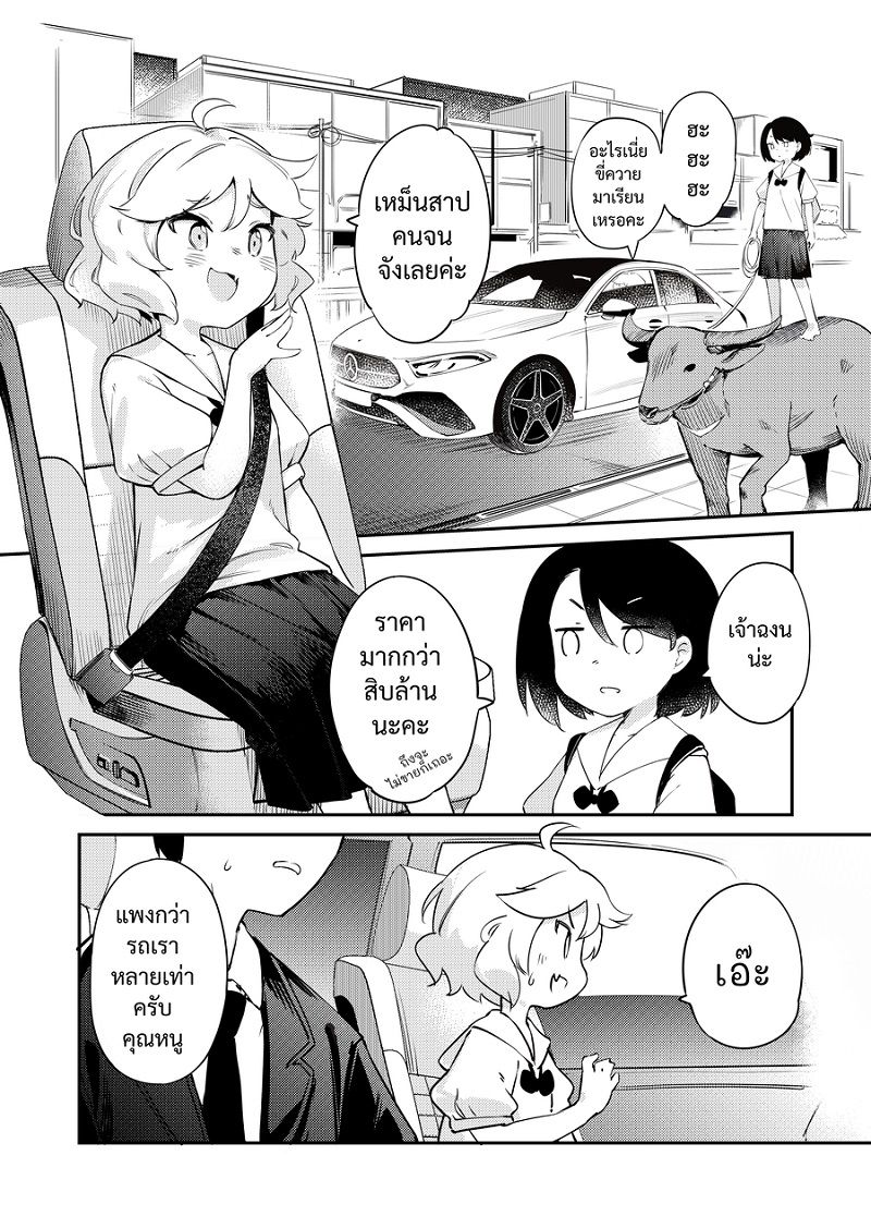 RKGK: Buffalo Love, Buffalo Hugs