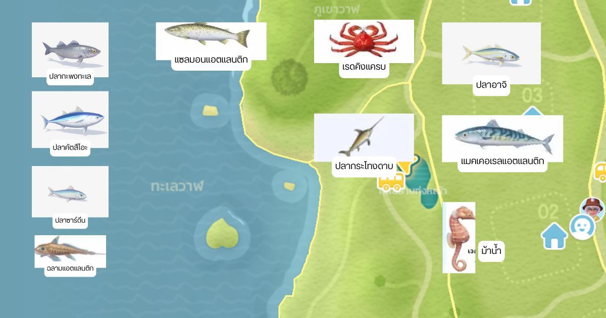 ปลาซันฟิชหลังโก่ง