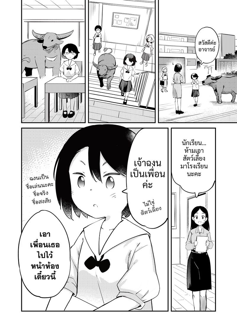 RKGK: Buffalo Love, Buffalo Hugs