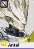 Arknights Endfield Operator Class