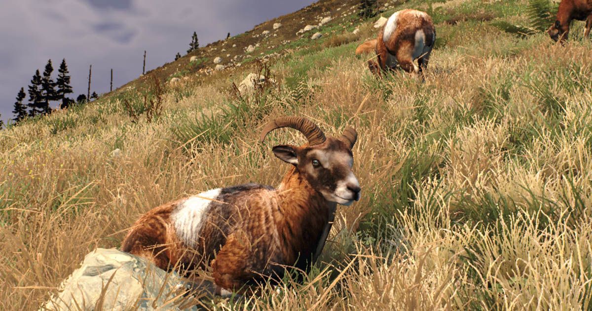 Way of the Hunter: Wild Europe เปิดมาให้มาก้าวเข้าไปในใจกลางยุโรปตะวันออกร่วมออกล่าและสัมผัสความงามของธรรมชาติแล้วบนมือถือสโตร์ไทย