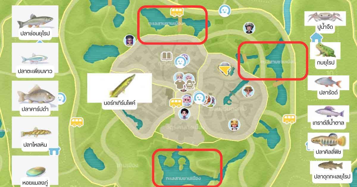 Heartopia จุดตกปลา