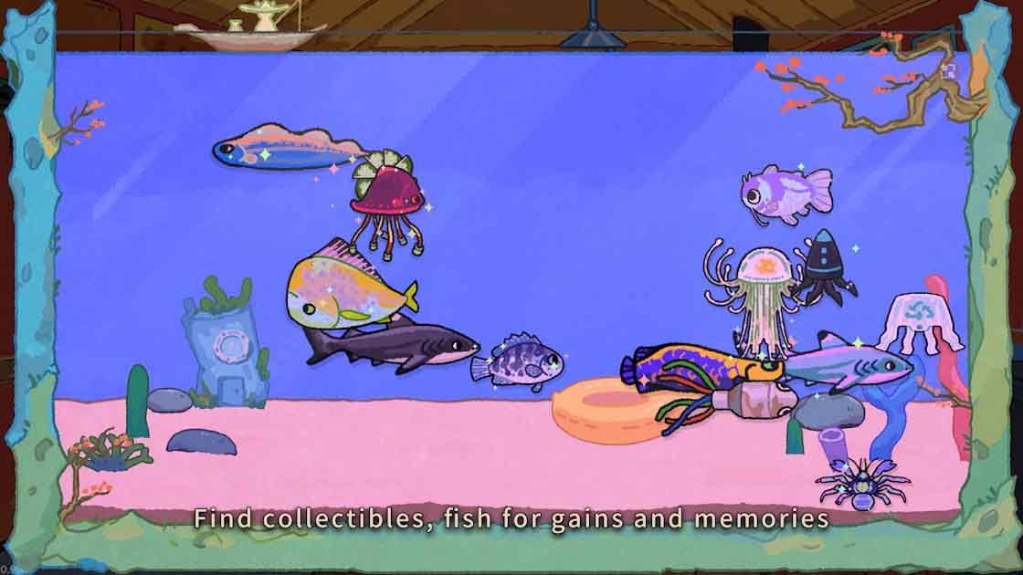 Fischer’s Fishing Journey