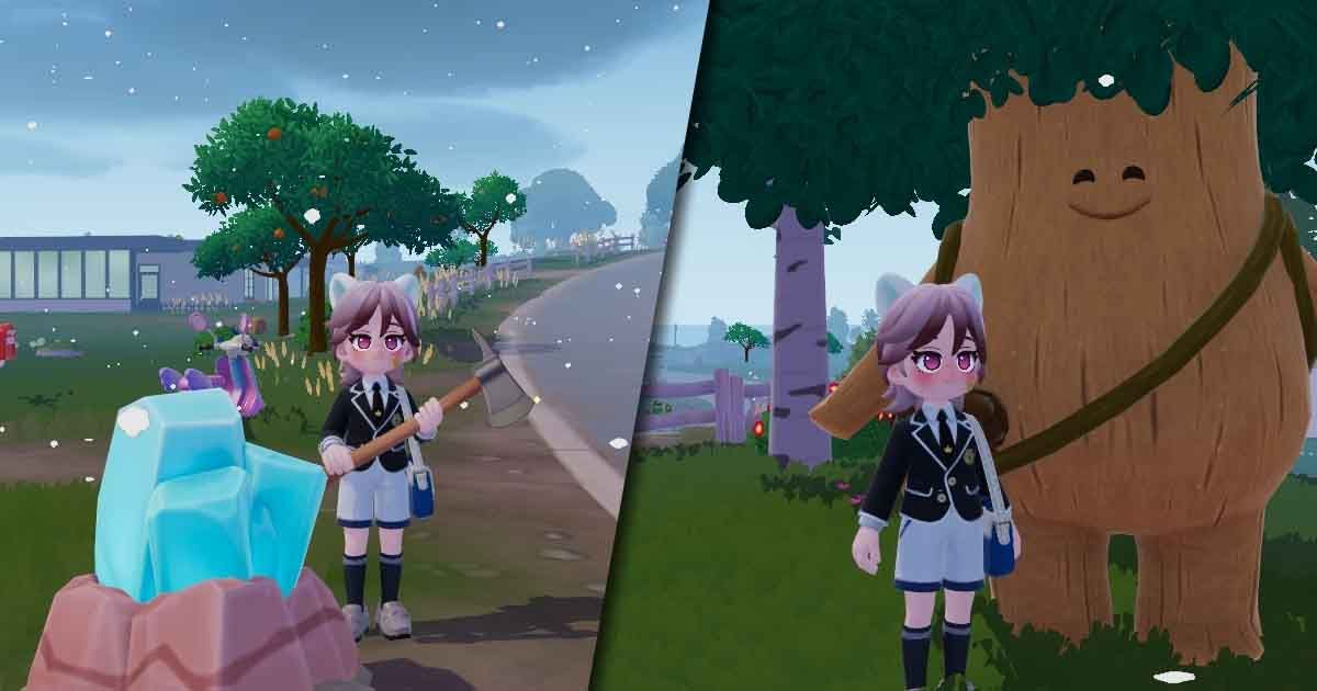 Heartopia ใน 1 วันทำอะไรบ้าง