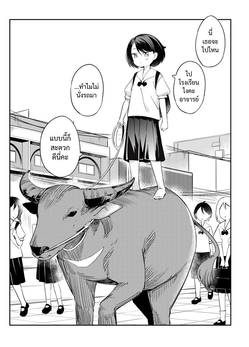 RKGK: Buffalo Love, Buffalo Hugs