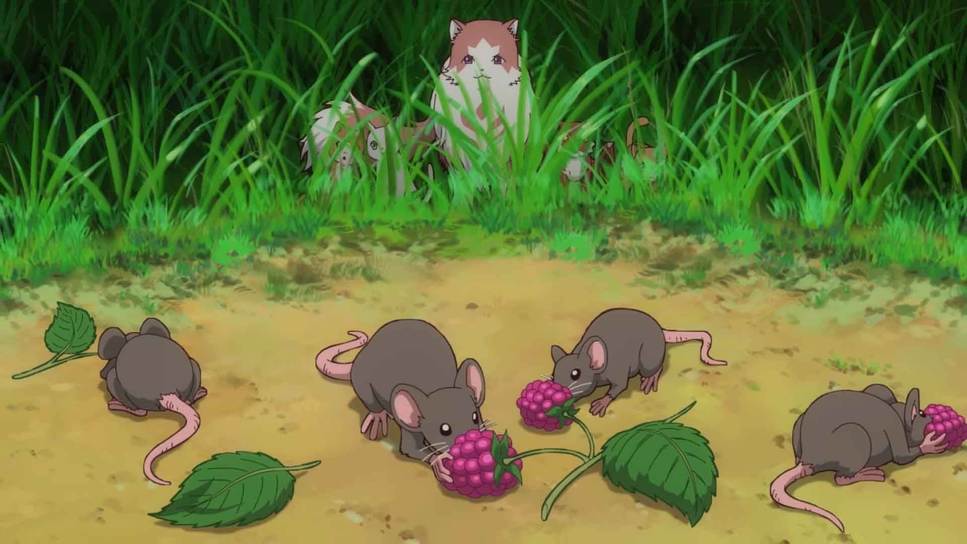 Neko to Ryuu