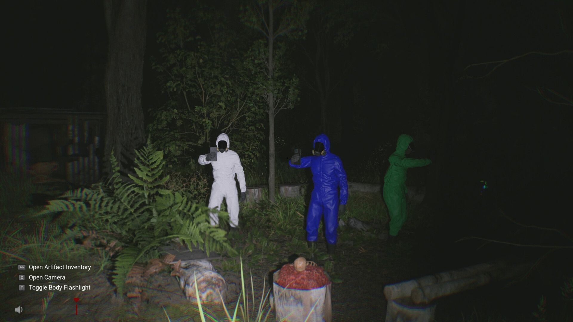 Sector 13: Haunted Woods