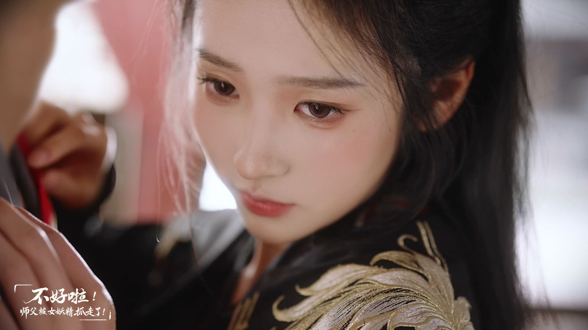 SIFU Kidnapped! Adventure in the Women's Kingdom